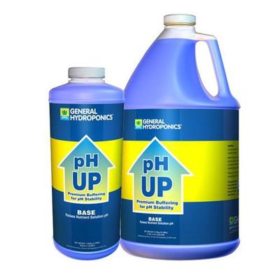 GH pH Up Liquid