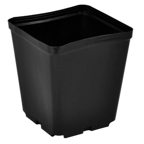 Gro Pro Square Plastic Pot 5.5 in x 5.5 in x 6 in 05.50 2Qt sq