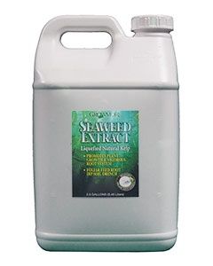 GM Seaweed Extract
