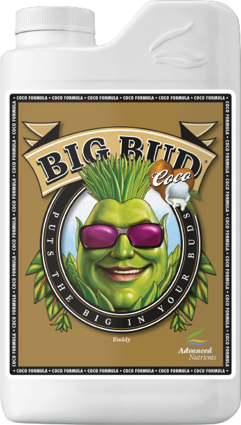AN Big Bud Coco, Size: 1L