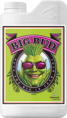 AN Big Bud