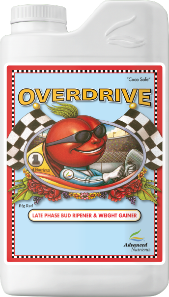 AN Overdrive, Size: 1L