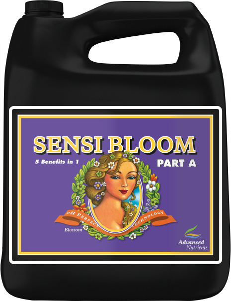 AN pH Perfect Sensi Bloom Part A, Size: 4L