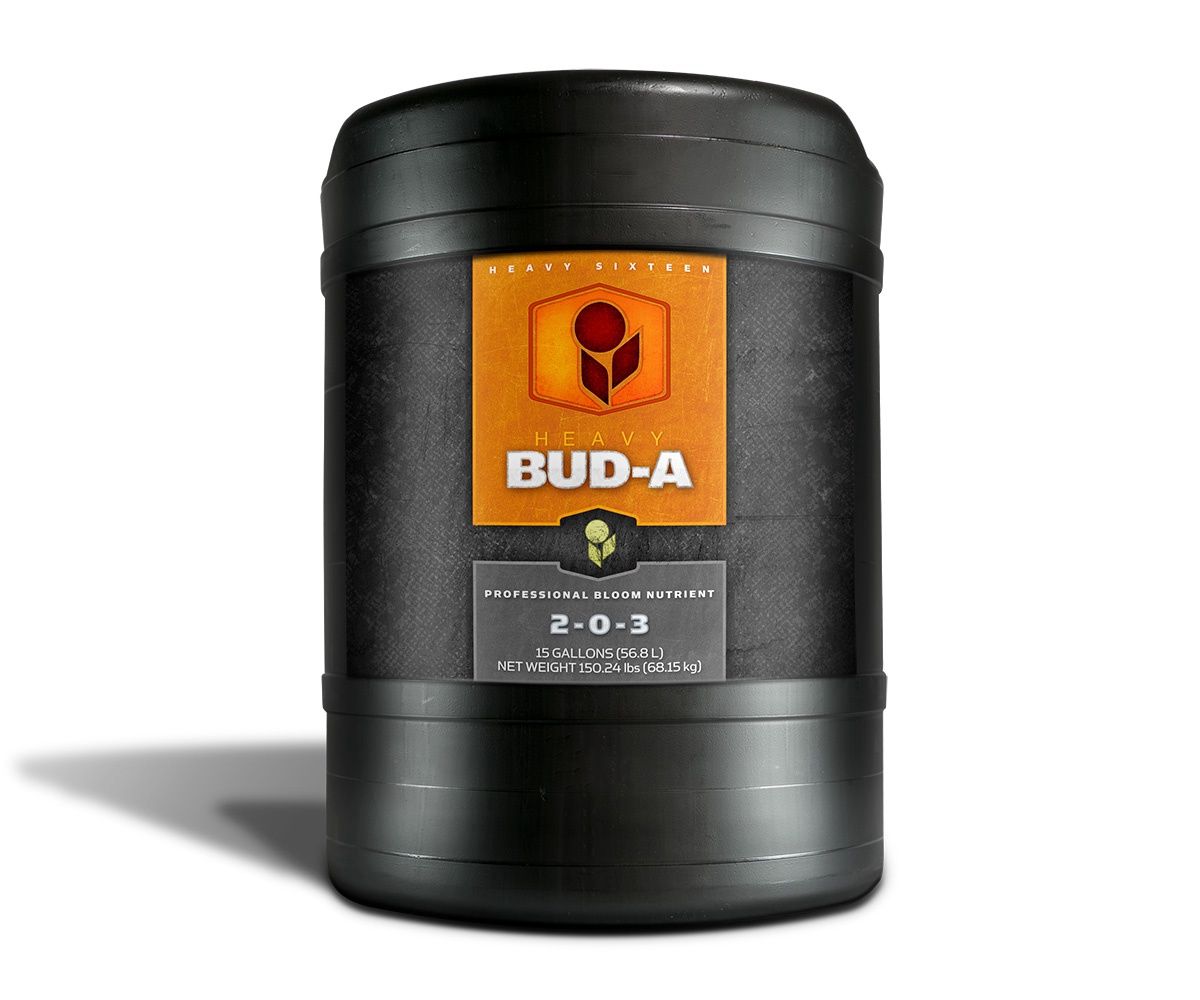 Heavy 16 Bud A, Size: 15gal