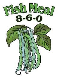 DTE Fish Meal (8-6-0), Size: 50 lb