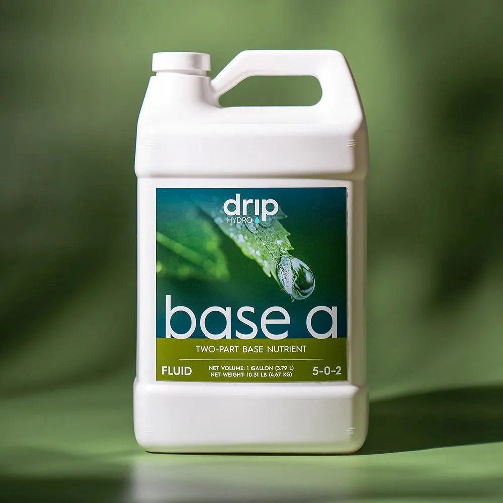 DH Base A, Size: 1 gal