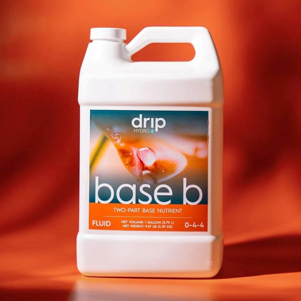 DH Base B, Size: 1 gal