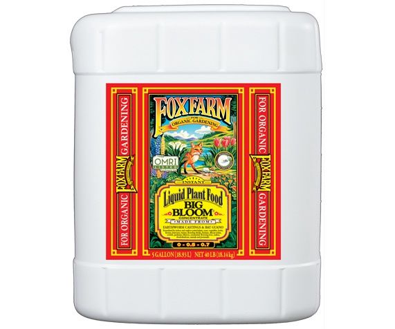 Big Bloom Liquid Concentrate, Size: 5gal