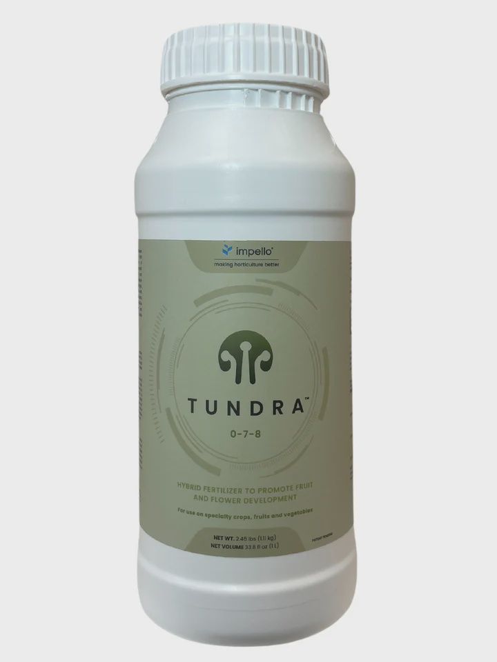 Impello Tundra