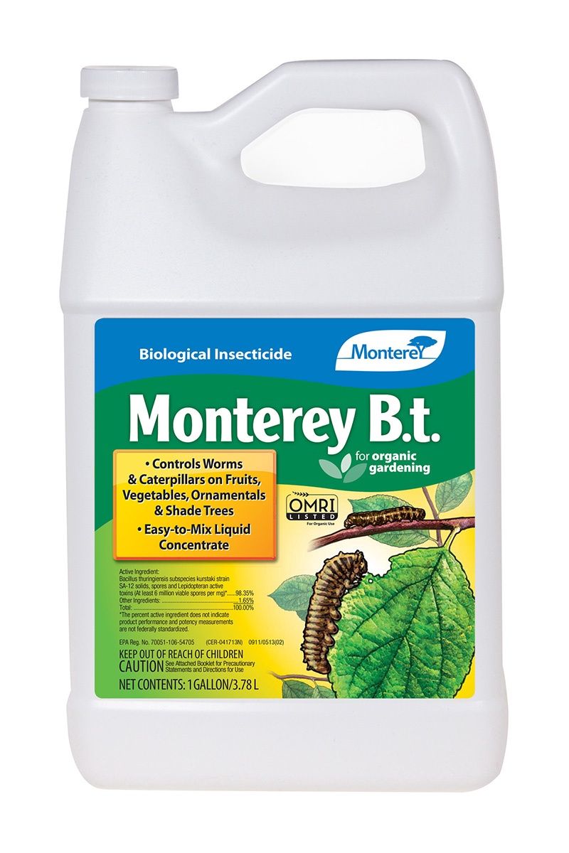 Monterey B.t., Size: 1gal