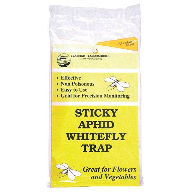 Sticky Aphid White Fly Traps
