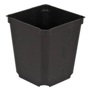 Propagation Pots, Size: 3.5” Square Pot