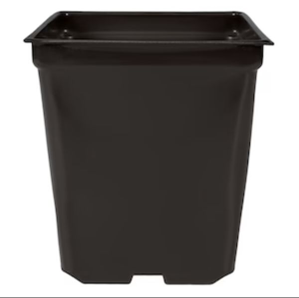 5&#39;&#39; x 5&#39;&#39; x 4.5&#39;&#39; Square 1.25qt