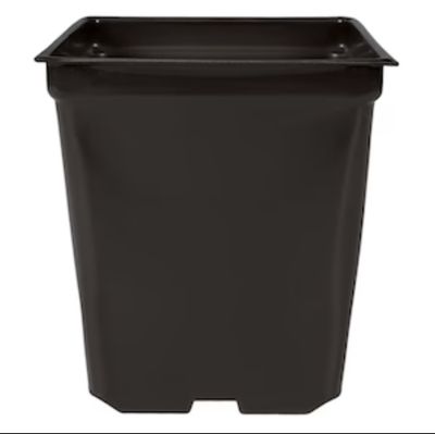 5&#39;&#39; x 5&#39;&#39; x 4.5&#39;&#39; Square 1.25qt