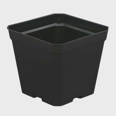 Mcconkey 4x4x3.5 Square Pot