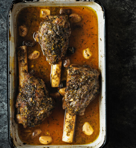 Hackamore Ranch photo 7