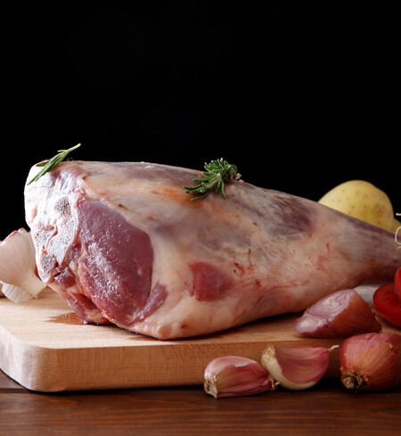 Hackamore Ranch photo 14