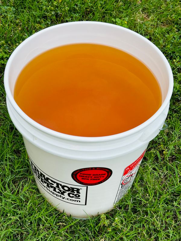Beef Tallow 5 Gallon Bucket ( Back fat )