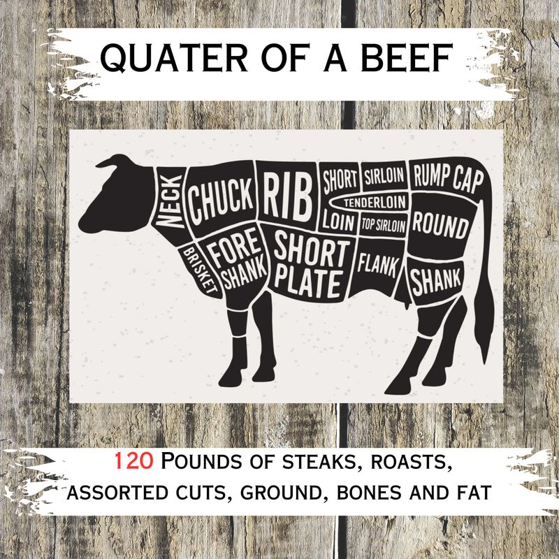 Quarter of a Beef 120 Pounds ( Delivery/ Pick-up 2 weeks after order) Quarter of a Beef 120 Pounds ( Delivery/ Pick-up 2 weeks after order)