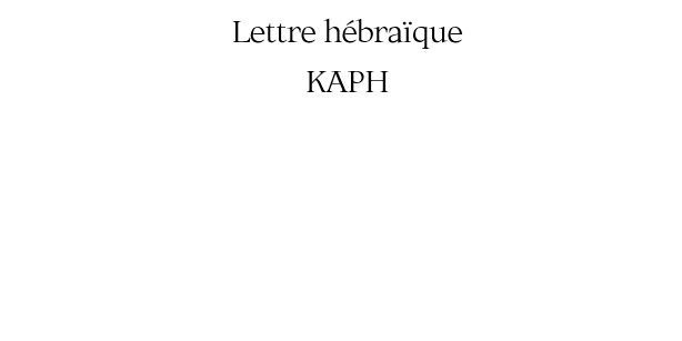 Lot de 6 verres Kaph