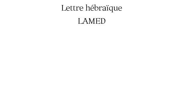 Lot de 6 verres Lamed