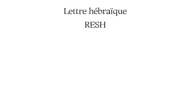 Lot de 4 verres Resh