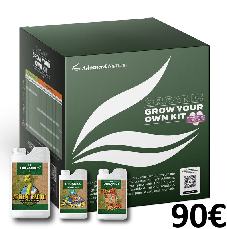 Brokkolitrees-Aux Starter Bundle