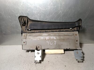 Airbag Delantero Izquierdo de Peugeot 407 2005