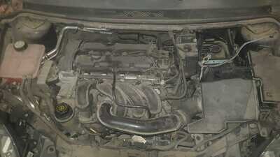 Motor Ford Focus SHDA