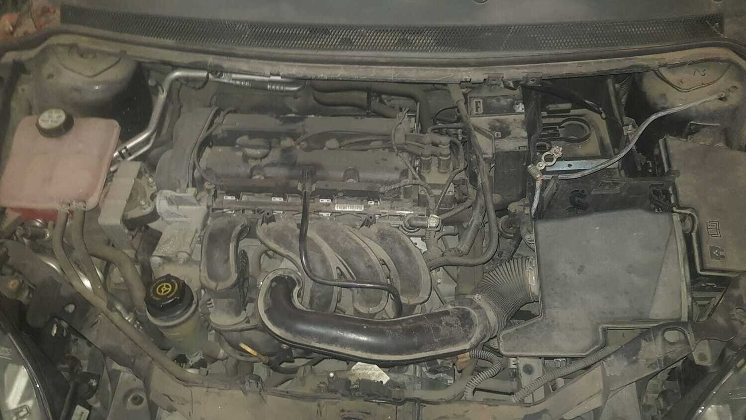 Motor Ford Focus SHDA
