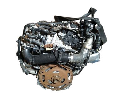 Motor Audi A4 Quattro DET
