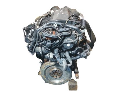 Motor Ford focus, TXDB
