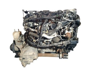 Motor Ford Fiesta 2011, tipo KVJA