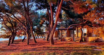 Commercial properties &amp; Land