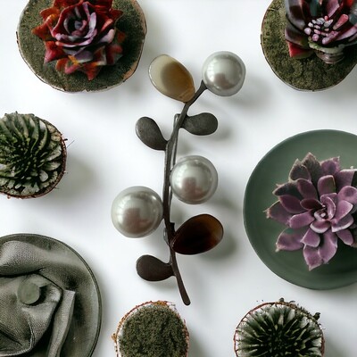 Accessoires