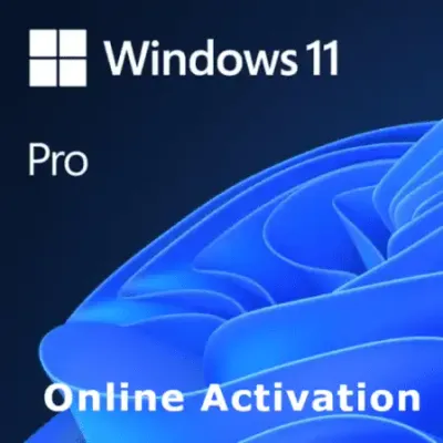 Windows 11 Professional (Max 2x per person per day)