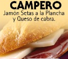 Campero