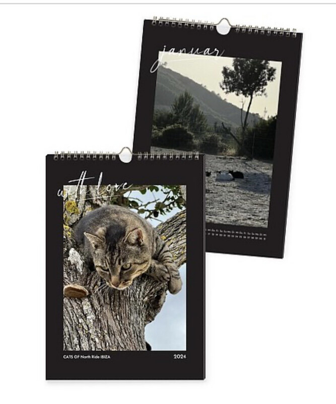 CATS OF North Ride IBIZA 2026- Wall-Calendar A4 (210mm x 297mm) vertical or horizontal