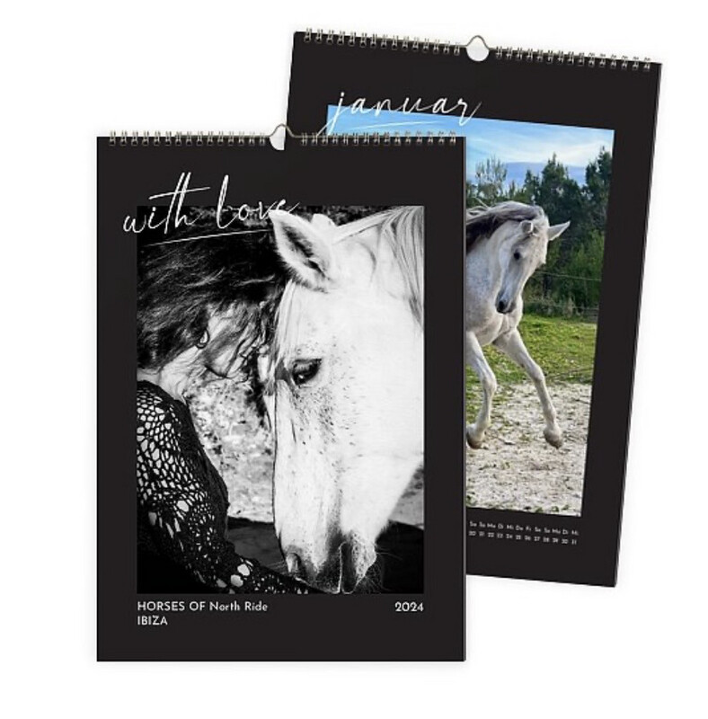 HORSES OF North Ride IBIZA 2026 -  Wall-Calendar vertical   A3 (297mm x 420mm) or  A4 (297mm x 210mm) or Square (300mm x 300mm)