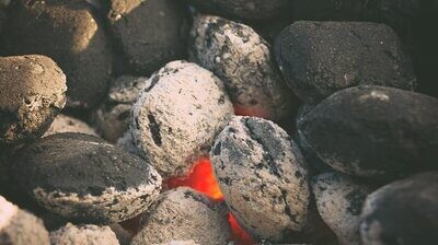 Charcoal & Briquettes