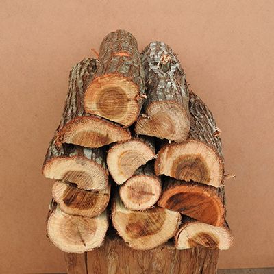 Rooikrans - Large Bag