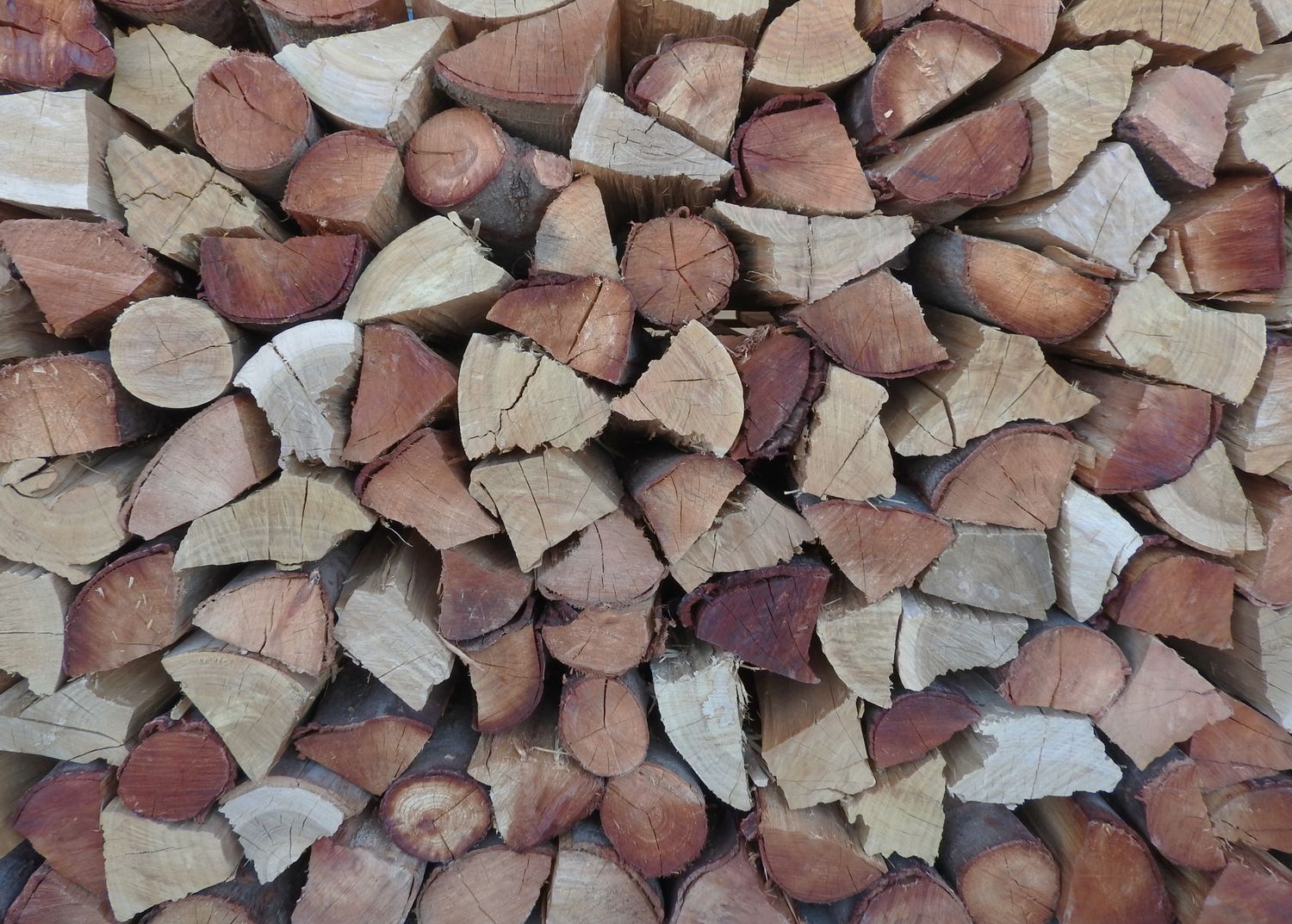 Kaggel Mix Large Bag
