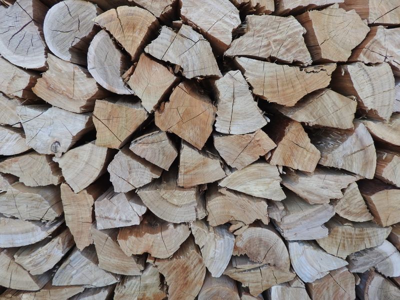 Bluegum Loose Pieces (up to 5000)