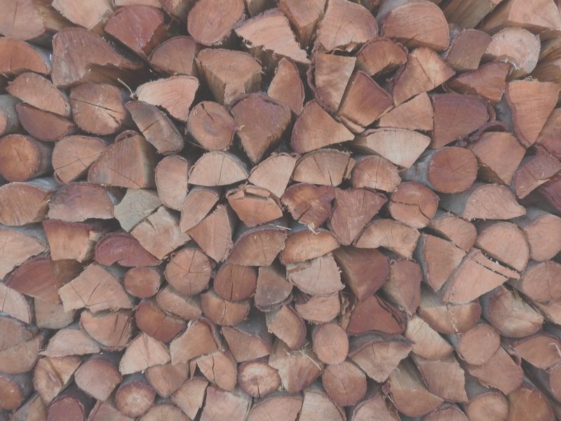 Black Wattle Large Bag