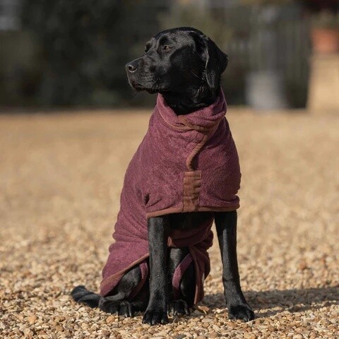 Burgundy Dog Drying Coat (corduroy trim), Size: XS