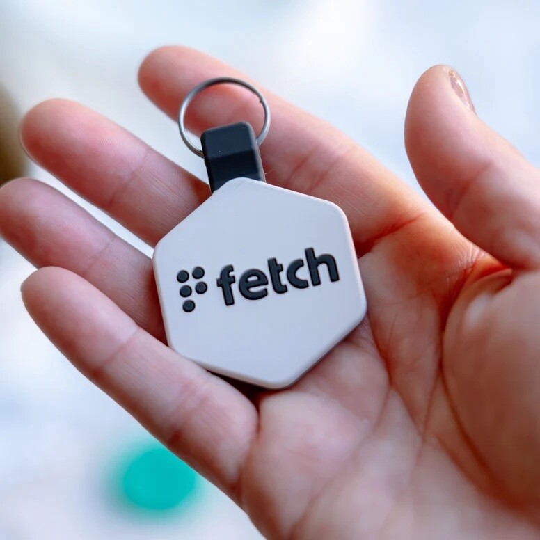 Fetch Digital Pet ID, Size: Mini