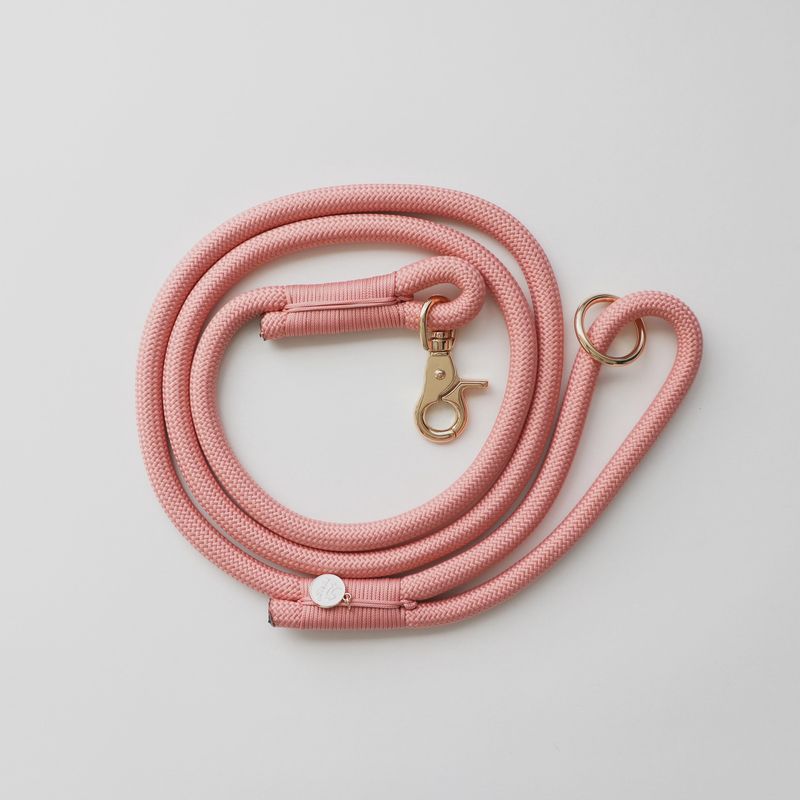 Rose Braided Rope Leash