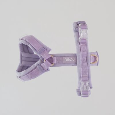 Lavender Comfort Dog Harness, Size: Extra Small