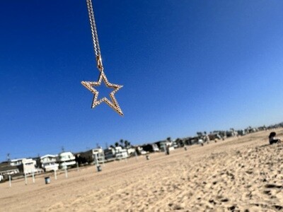 THE ROCK STAR diamond charm