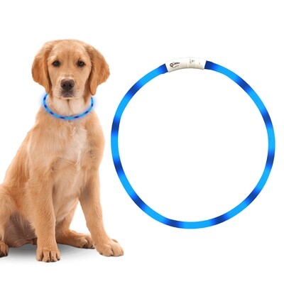 Blauwe LED Halsband voor Honden - Lichtgevende Halsband Hond / Led Halsband Hond - Oplaadbaar via USB